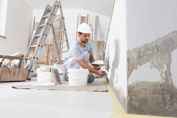 Best Mold Damage Restoration  in Lancaster, WI