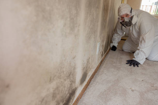 Best Post-Construction Mold Inspection  in Lancaster, WI