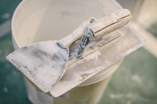 Best Mold Prevention Services  in Lancaster, WI