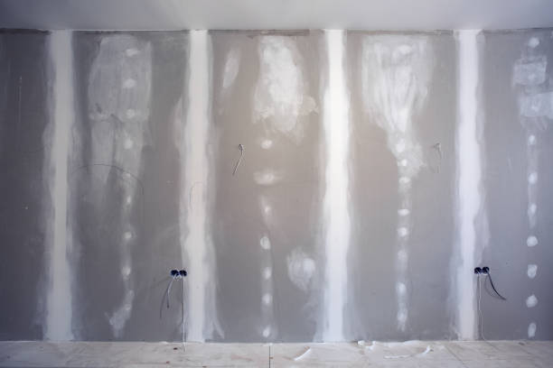 Best Environmental Consulting for Mold Prevention  in Lancaster, WI